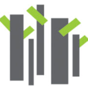 سپیدار